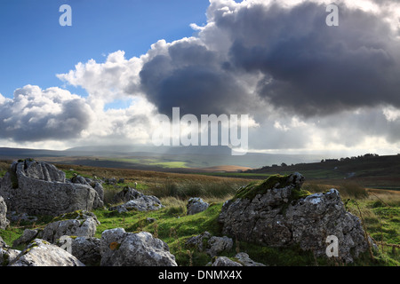 Pezzata dalla luce del sole su pavimentazione di pietra calcarea e Pen-y-Ghent, in Yorkshire Dales National Park, Inghilterra Foto Stock