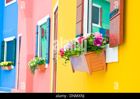 Colorato di fiori artificiali per la decorazione della finestra Foto Stock