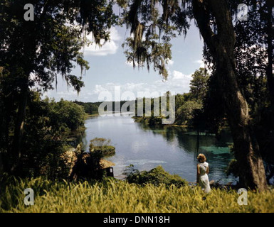 Rainbow Springs vicino a Dunnellon, Florida Foto Stock