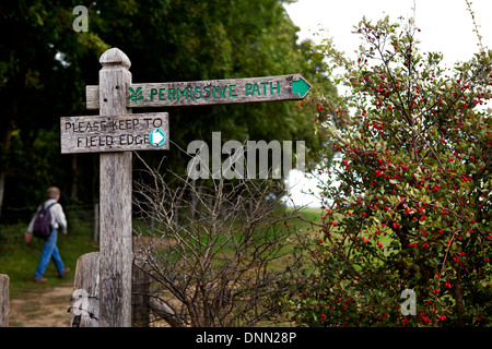 Il National Trust permissive siepe direzione Winchelsea percorso permissivo, REGNO UNITO Foto Stock