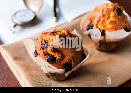 Tradizionale muffin fatti in casa con secchi a base di mirtillo palustre.Il fuoco selettivo sui muffin anteriore Foto Stock