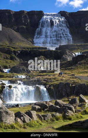 L'Islanda. Dynjandi (noto anche come Fjallfoss) è una serie di cascate situate nel Westfjords (Vestfirdir) Foto Stock