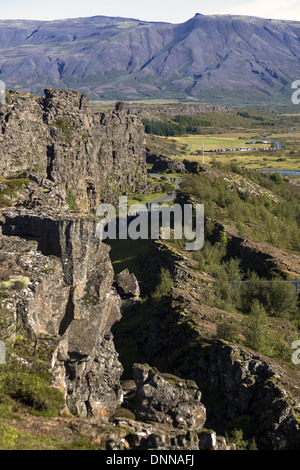 Thingvellir situato su una zona di fessura che corre attraverso l'Islanda, sulla targa tettonica confini dell'Mid-Atlantic Ridge. Foto Stock