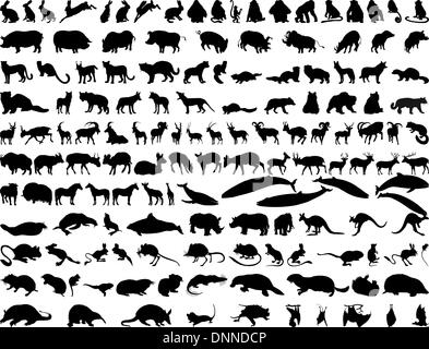 Grande raccolta di illustrazione diversi animali del vettore Illustrazione Vettoriale