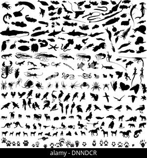 # 1 set di diversi animali, uccelli, insetti e pesci sagome vettoriali Illustrazione Vettoriale