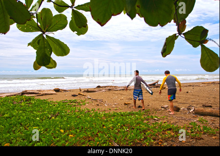 Surf sulle spiagge di Dominical, Costa Rica Foto Stock