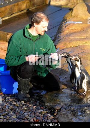 Londra, Regno Unito. Il 2 gennaio 2014. Le lontre allo Zoo di Londra la constatazione annuale il 2 gennaio 2014 a Londra, Regno Unito. L'obbligo di conteggio è richiesta come parte di ZSL London Zoo zoo di licenza e i risultati sono registrati nella specie internazionale Information System , dove i dati sono condivisi con i giardini zoologici in tutto il mondo e utilizzati per la gestione internazionale di programmi di allevamento di animali in pericolo., foto di Foto di Brian Jordan/Alamy Live News Foto Stock