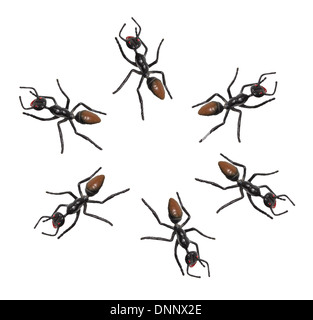 Formiche del giocattolo Foto Stock