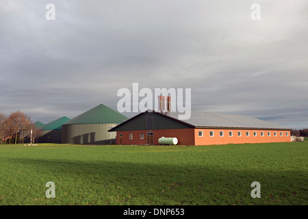 Impianto di produzione di biogas ed energia solare prodotta su un allevamento di bestiame Foto Stock