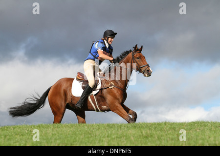 Cavallo e cavaliere al galoppo lungo un campo durante il cross country fase di un evento di una giornata Foto Stock