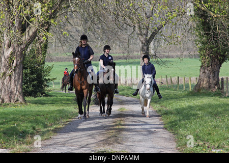 Cavalli e Cavalieri hacking fuori in una tranquilla strada di campagna Foto Stock