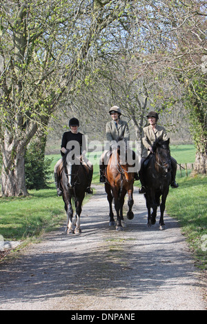 Cavalli e Cavalieri hacking fuori in una tranquilla strada di campagna Foto Stock