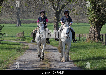 Cavalli e Cavalieri hacking fuori in una tranquilla strada di campagna Foto Stock