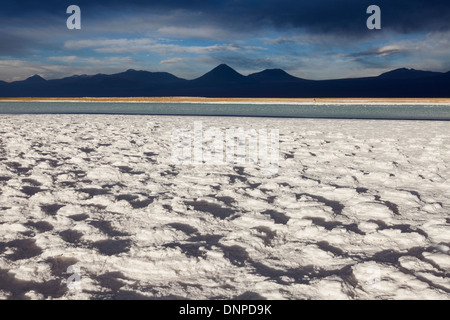 Il Cile, Antofagasta regione, il Deserto di Atacama, Vista Laguna Tebinquiche Foto Stock