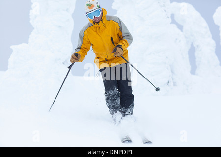 Stati Uniti d'America, Montana, coregone, uomo sci Foto Stock