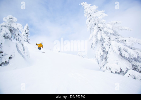 Stati Uniti d'America, Montana, coregone, uomo sci Foto Stock