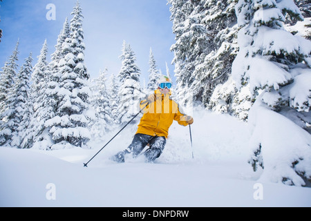 Stati Uniti d'America, Montana, coregone, uomo sci Foto Stock