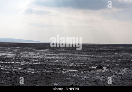 Appartamenti di fango a Thurstaston sul Wirral Peninsular cheshire england Foto Stock