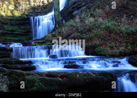 I colori autunnali, forza Scaleber cascata, sopra la città di estinguere, Yorkshire Dales National Park, England, Regno Unito Foto Stock