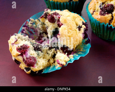 Muffin ai mirtilli Foto Stock