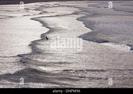 Un surfista lascia il mare fino a tardi in un inverno di pomeriggio a Woolacombe Bay in North Devon Regno Unito Foto Stock