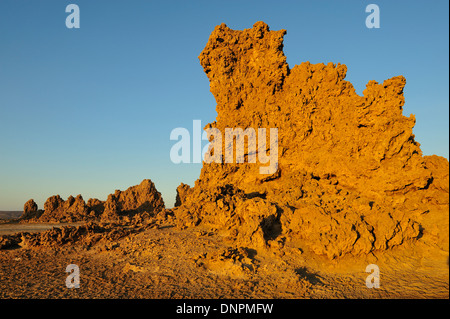 Camini di pietra calcarea in Lago di Abbe a Gibuti, Corno d Africa Foto Stock