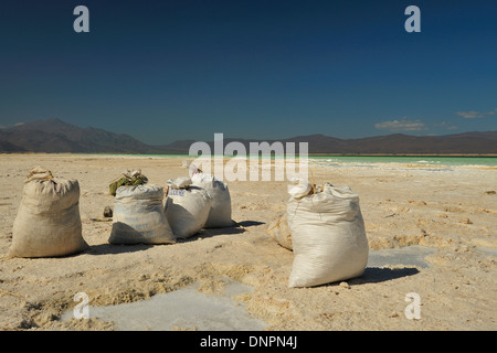 Sacchetti di sale raccolte dal lago Assal, Gibuti Foto Stock