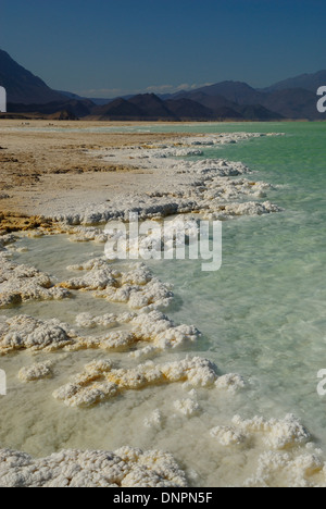 Piastre di sale essiccato al sole sulle rive del lago Assal, Gibuti Foto Stock