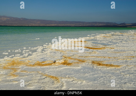 Piastre di sale essiccato al sole sulle rive del lago Assal, Gibuti Foto Stock