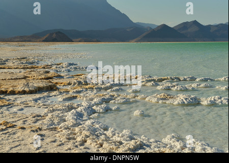 Piastre di sale essiccato al sole sulle rive del lago Assal, Gibuti Foto Stock