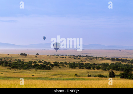 I palloni ad aria calda volando sopra la Riserva Nazionale di Masai Mara, Kenya Foto Stock