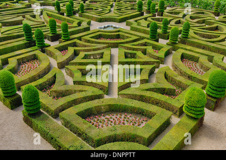 Vista in elevazione del formale giardino coperto al castello di Villandry, Indre-et-Loire (Reparto), Valle della Loira, Francia Foto Stock