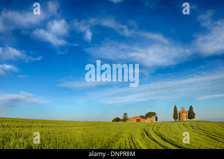 Cappella di Vitaleta e casa colonica con cipressi nel campo verde, Val d'Orcia, in provincia di Siena, Toscana, Italia. Foto Stock