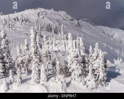 Guardando verso l'alto la rupe dalla parte superiore del Bullet Express seggiovia, Big White Ski Resort, British Columbia, Canada. Foto Stock