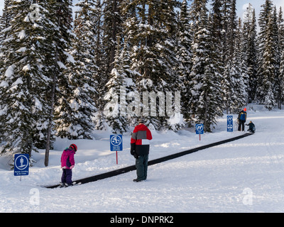 Bambini sul tappeto magico di sollevamento, Happy Valley, Big White Ski Resort, British Columbia, Canada. Foto Stock