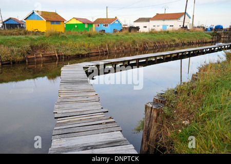 Oyster tipico borgo agricolo in area di Marennes-Oléron in Charente-Maritime, Francia Foto Stock