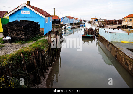 Oyster tipico borgo agricolo in area di Marennes-Oléron in Charente-Maritime, Francia Foto Stock