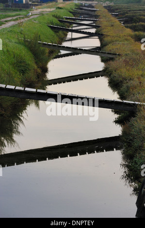 Canale di acqua per riempire il claires piscina d'acqua dolce in Charente-Maritime, Francia Foto Stock