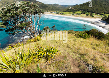 Vista della spiaggia Tapotupotu, Un campeggio nel lontano nord della Nuova Zelanda. Foto Stock