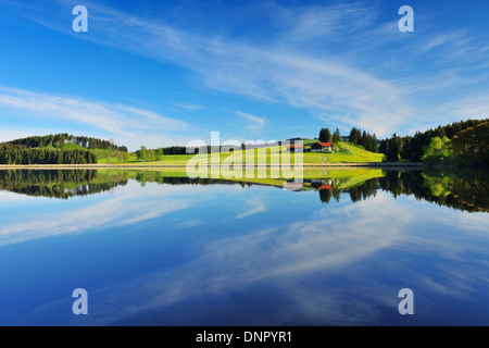 Paesaggio e Sky riflettente nel lago, Sameister Weiher, Rosshaupten, Baviera, Germania Foto Stock