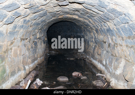 Victorian tunnel che conduce al fiume usura in Penshaw, utilizzati per il trasporto di pietra di cava per riverside staithes North East England Regno Unito Foto Stock