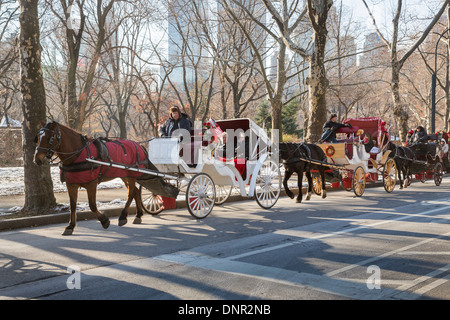 Cavalli e carrozze schierate per gite turistiche in Central Park di New York, in inverno con neve su sconfinano Foto Stock