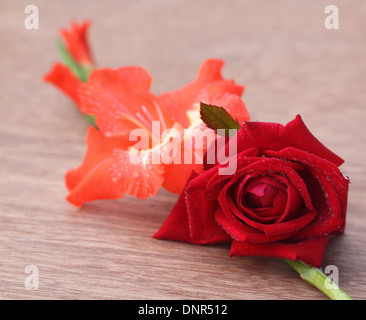 Gladiolus fiore con rose su una superficie di legno Foto Stock