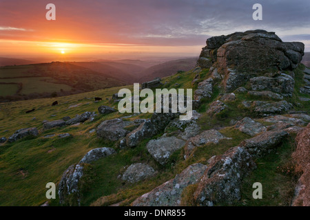 Alba sul fiume Dart valley da Sharp Tor nel parco nazionale di Dartmoor Foto Stock