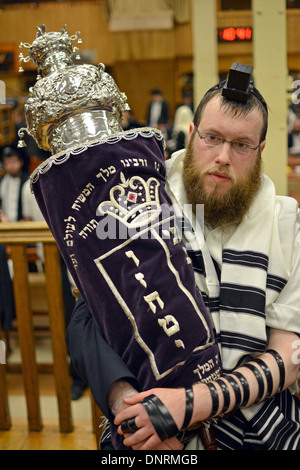 Un uomo che indossa una preghiera scialle & phylacteries tenendo un Torah durante la mattina dei giorni feriali servizi in sede Lubavitch in NYC Foto Stock