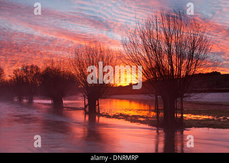 Salisbury, Regno Unito. 5° gen, 2014, seguente heavy rain alba è riflessa in acqua di inondazione sul fiume Ebble vicino a Salisbury Wiltshire. Con ulteriore heavy rain meteo il cielo rosso giustifica il vecchio proverbio 'red sky al mattino pastori avvertenza'. Credito: Ken Leslie/Alamy Live News Foto Stock