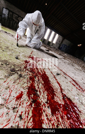Scena del Crimine Officer (SOCO) esamina un'area attorno ad alcuni il sangue su di un pavimento [poste dal modello] Foto Stock