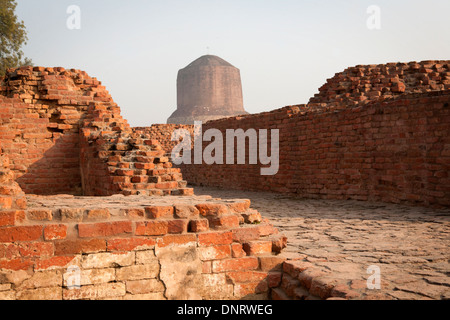 La stupa Dhamek a Sarnath dove Buddha è detto di avere insegnato ai suoi discepoli per la prima volta dopo la sua illuminazione Foto Stock