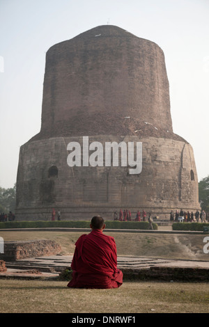 Monaco tibetano medita presso la Stupa Dhamek a Sarnath, Uttar Pradesh, segnando il punto in cui il Buddha ha tenuto il suo primo sermone. Foto Stock