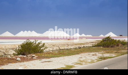 Il sale di mari operazione mineraria sull'isola caraibica di Bonaire. La reazione chimica in acqua lo trasforma rosa luminoso. Foto Stock